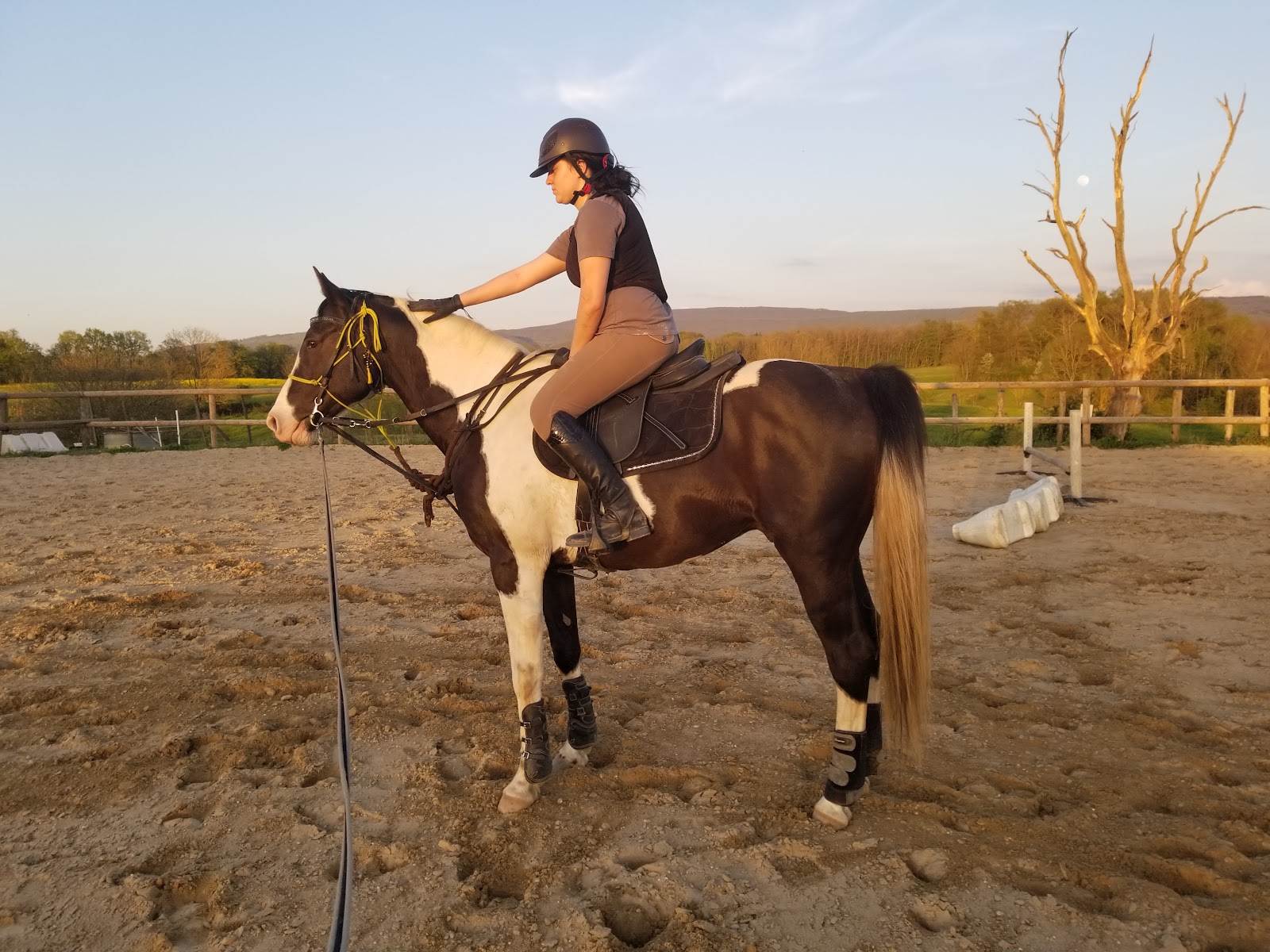 DOMAINE EQUESTRE DES 3 MONTS