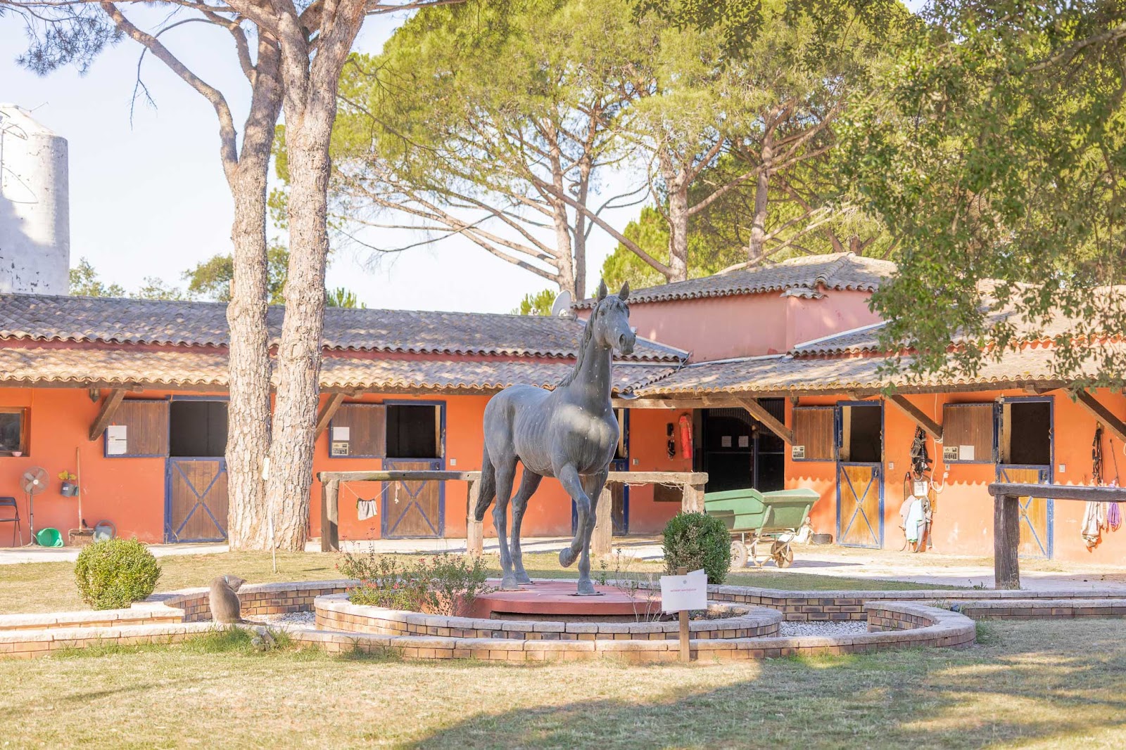 Photo de DOMAINE EQUESTRE DES GRANDS PINS