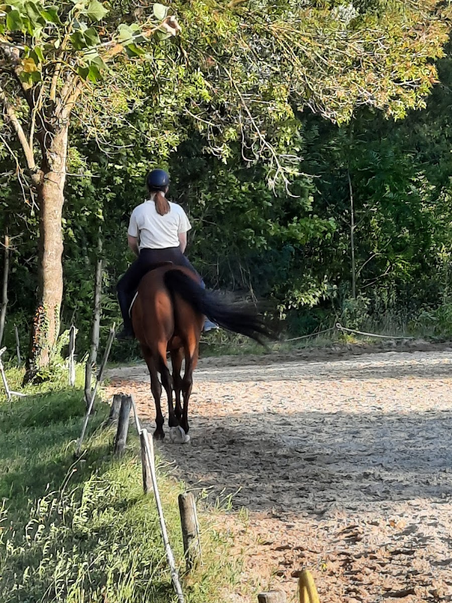 Photo de DOMAINE EQUESTRE DU MOULIN