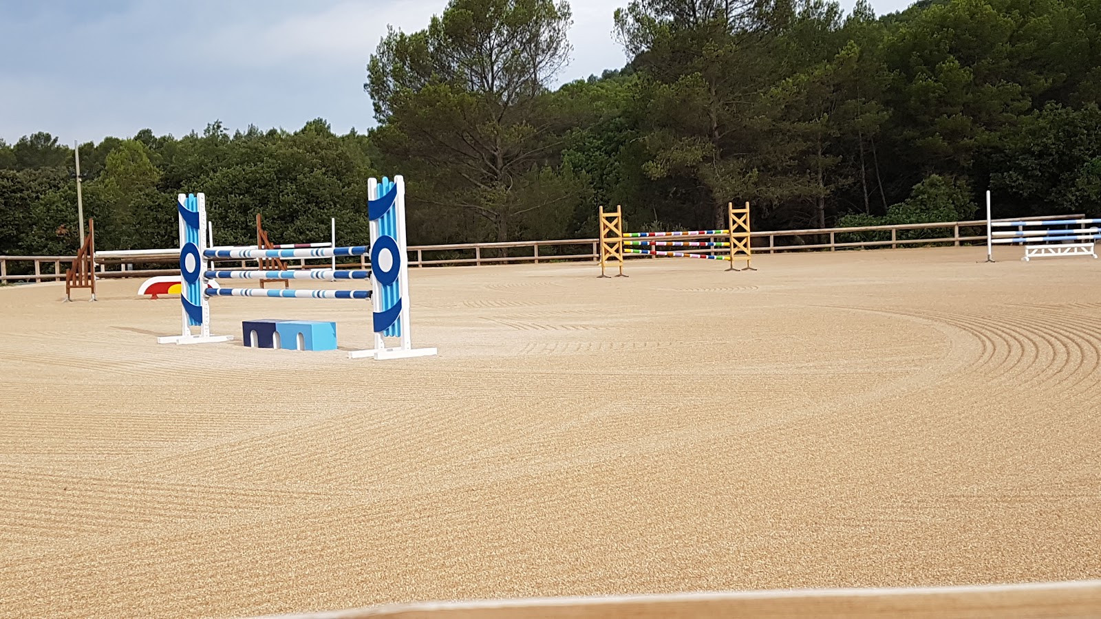 Photo de DOMAINE EQUESTRE LOU SUVE