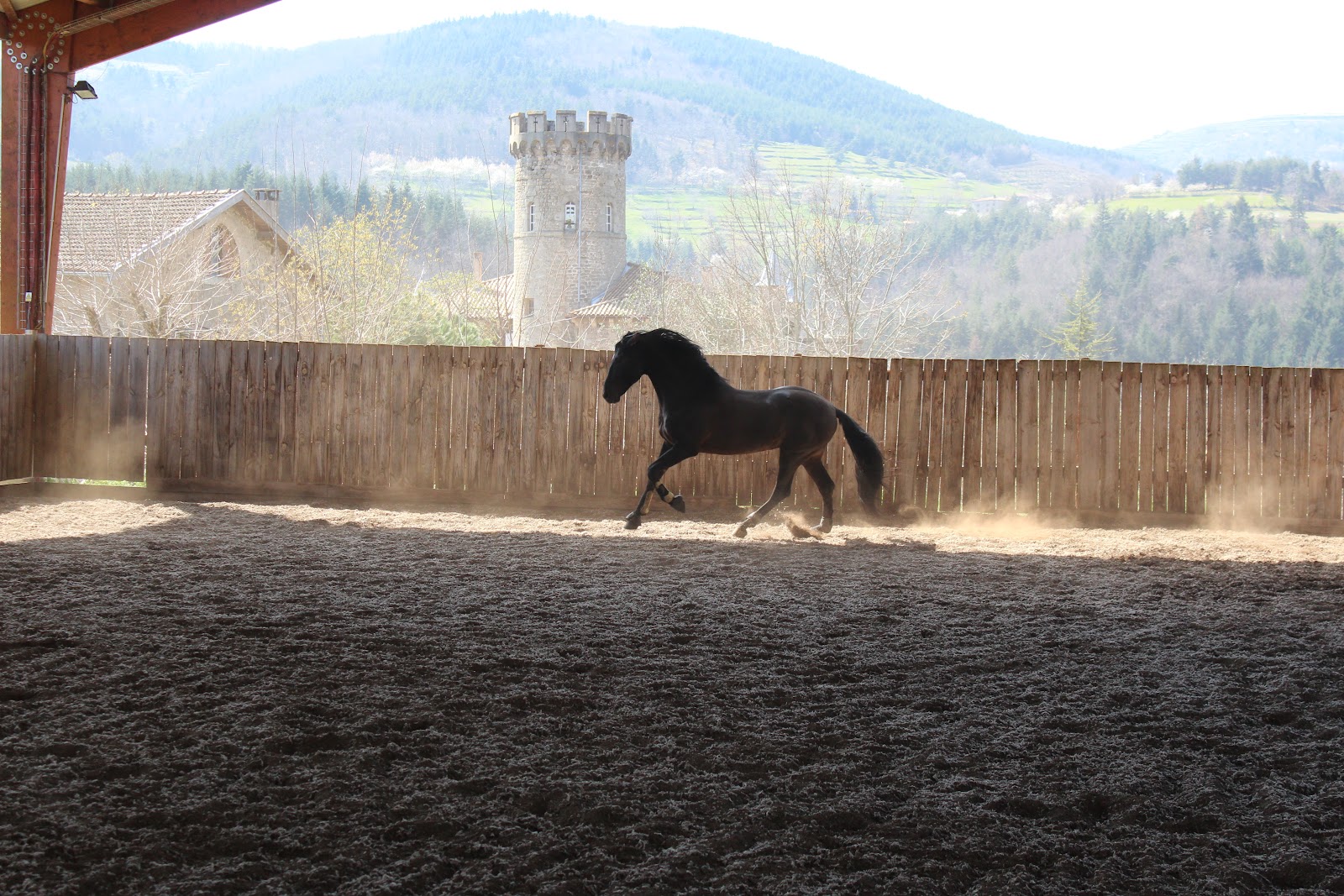 EARL CENTRE EQUESTRE LE VERGIER