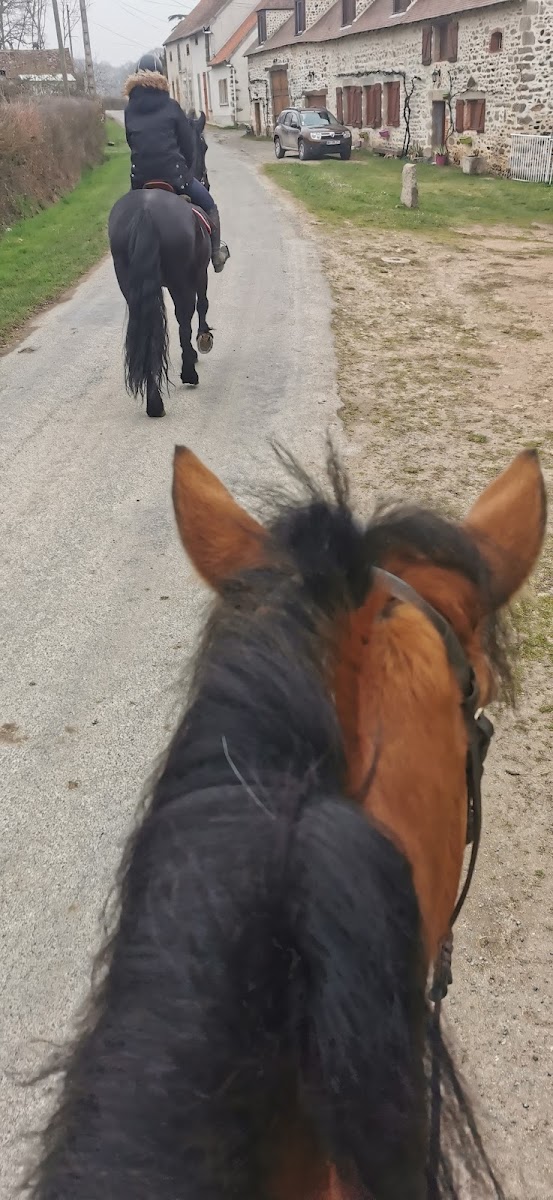 Photo de EARL DOMAINE EQUESTRE DU THEIL