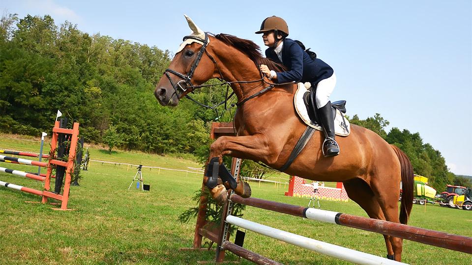 Photo de EARL ECOLE D EQUITATION PRETY CUISERY