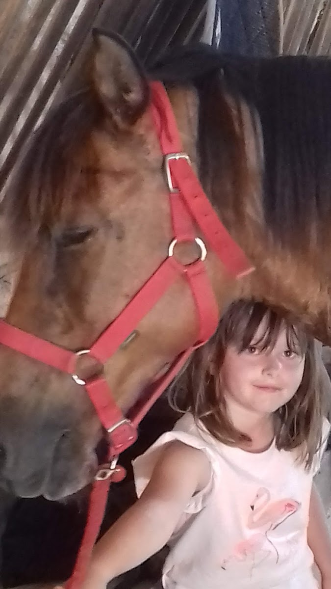 Photo de EARL ECURIES DE LA BROSSETTE
