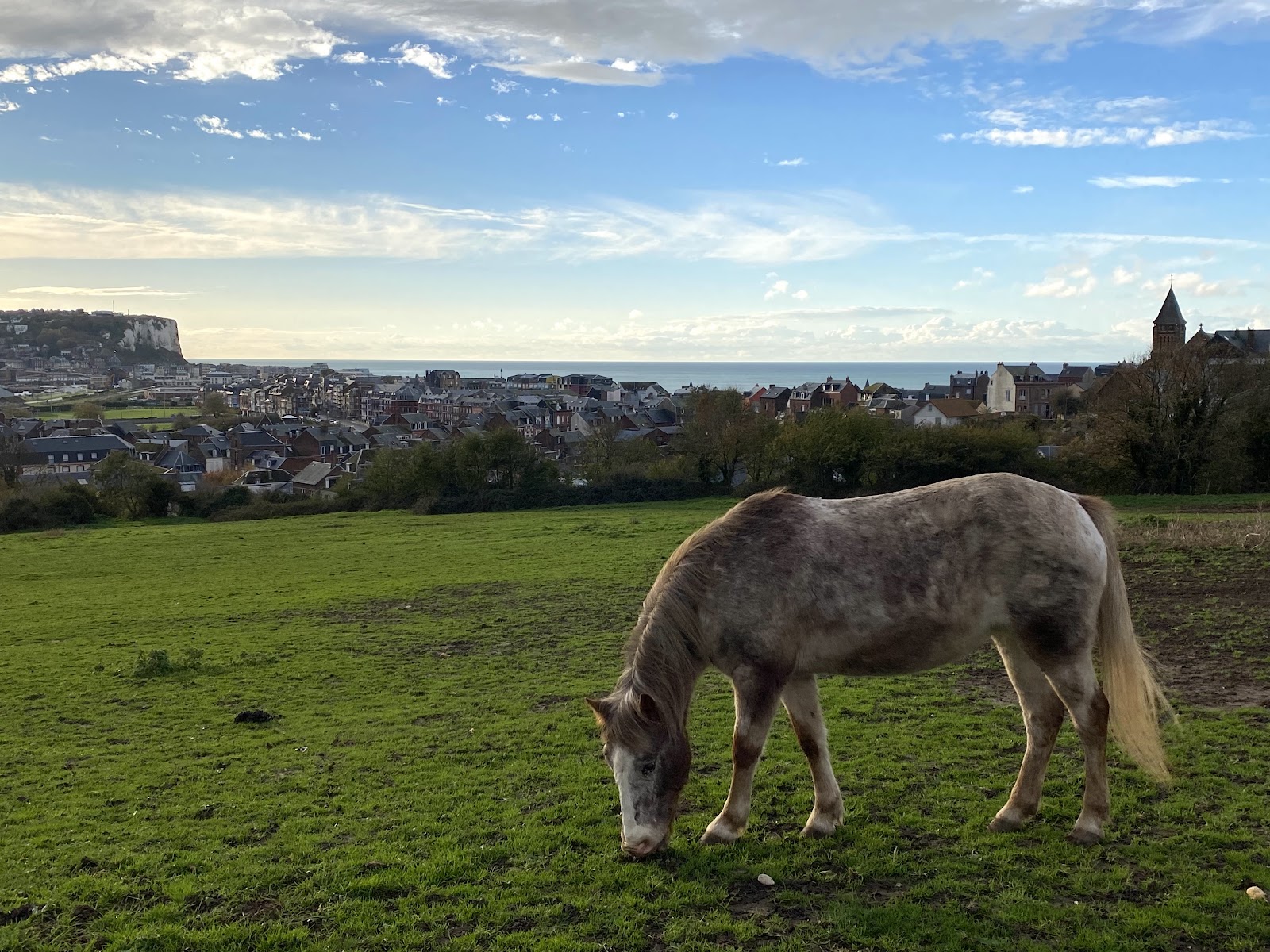 Photo de EARL EQUITATION MERS LES BAINS