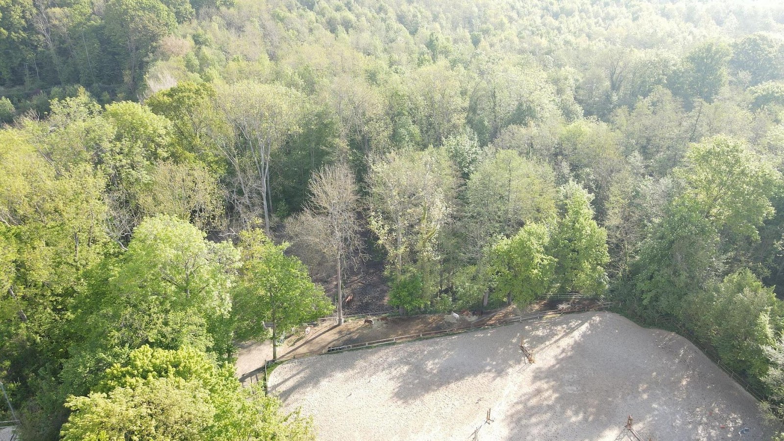 Photo de EARL HARAS DU VAL