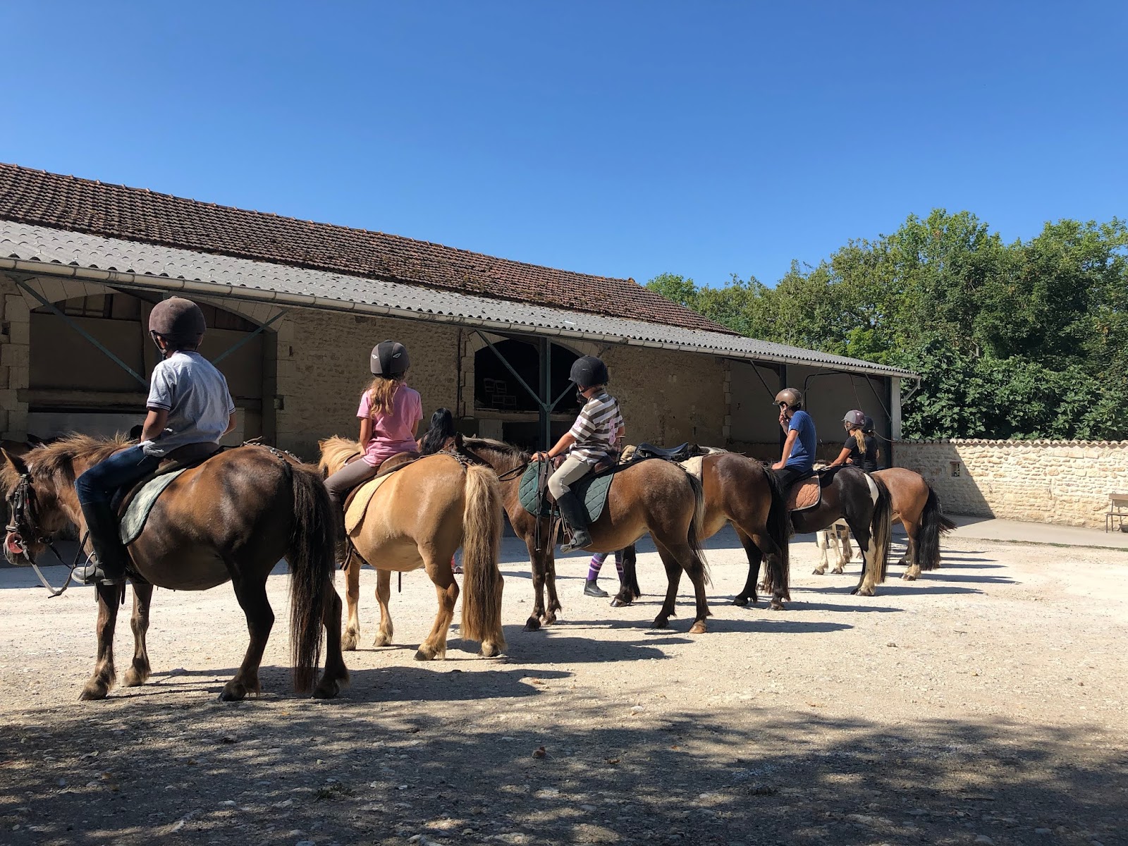 Photo de EARL LE BERCAIL EQUITATION