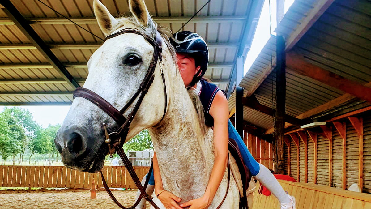 Photo de EARL LE HARAS DES OUCHES