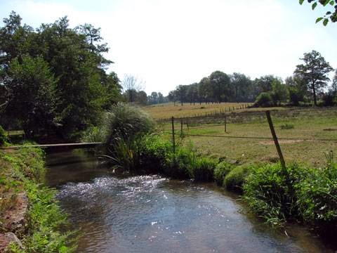 Photo de EARL LE MOULIN DU GOUTAY