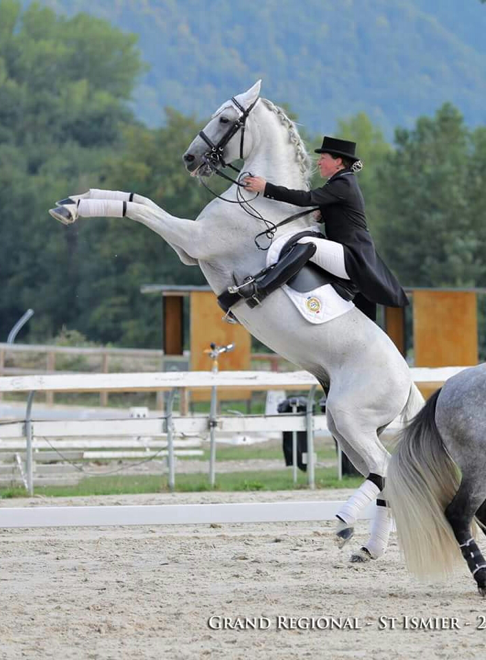 Photo de EARL LES CHEVAUX D EDORAS