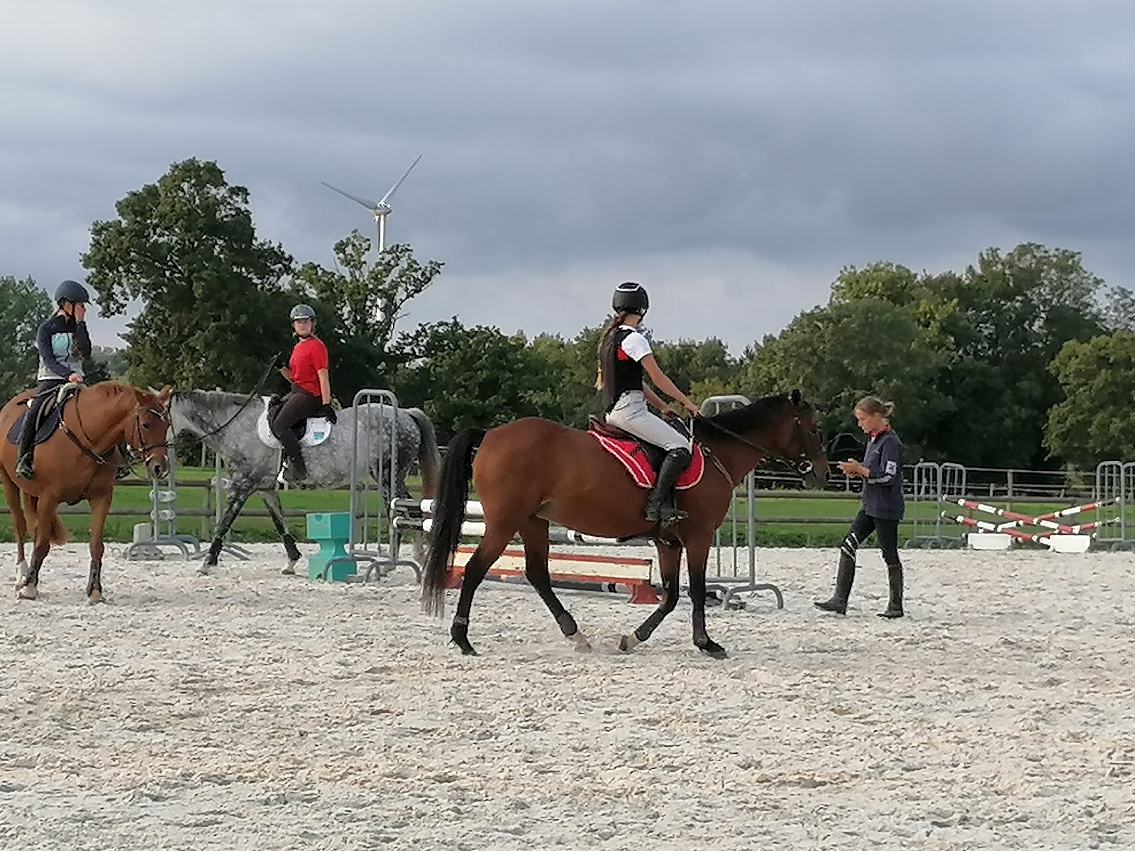 Photo de EARL MOYON EQUITATION