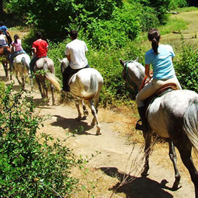 Photo de EARL PONEY CLUB DES LANDES DE CUNEIX