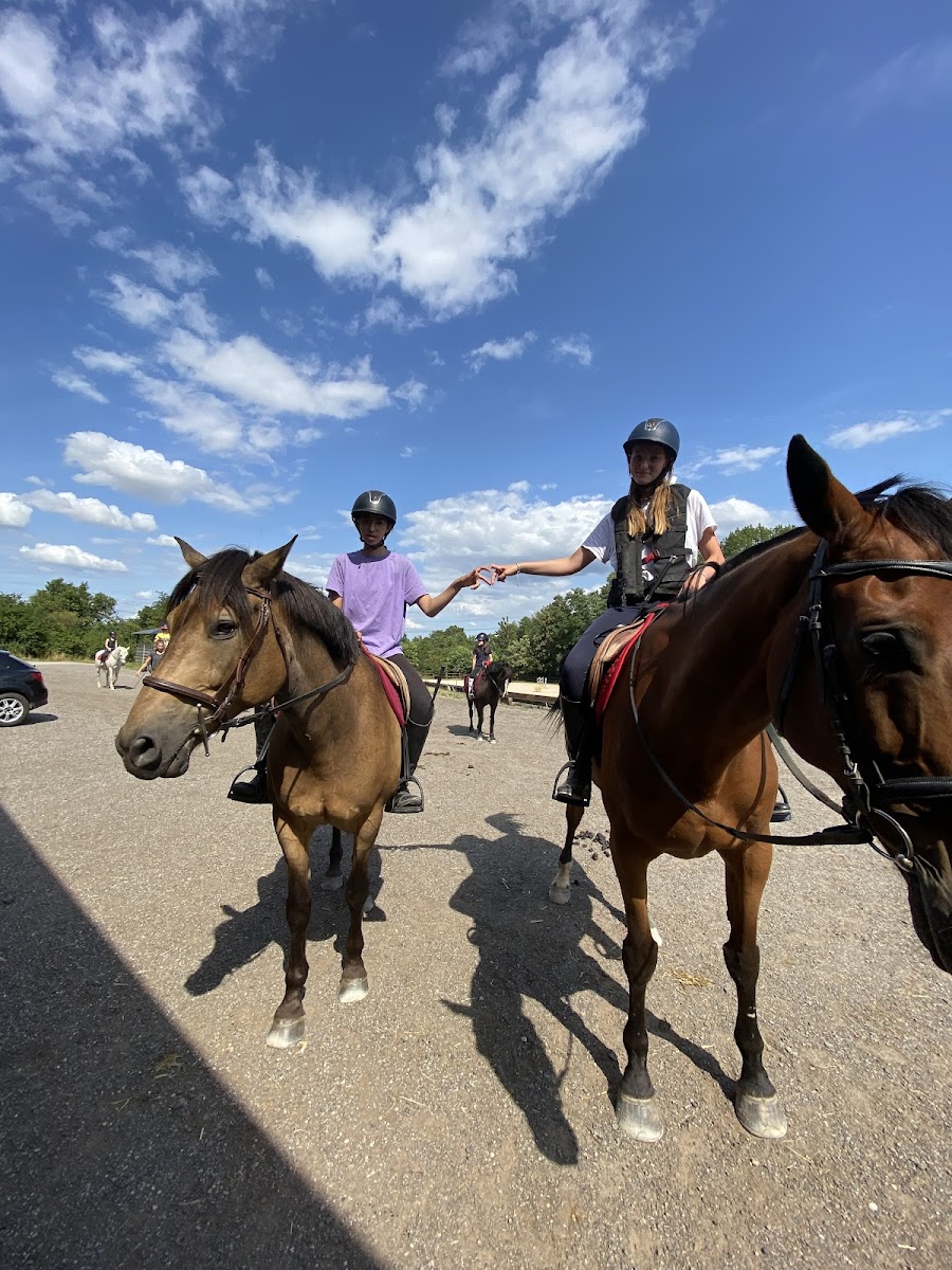 Photo de ECOLE D EQUITATION DE REDING