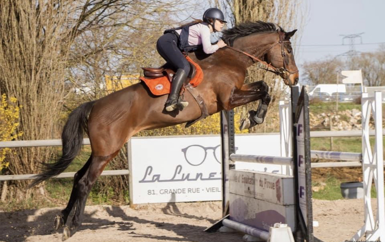 Photo de ECOLE D EQUITATION DU PIROUE