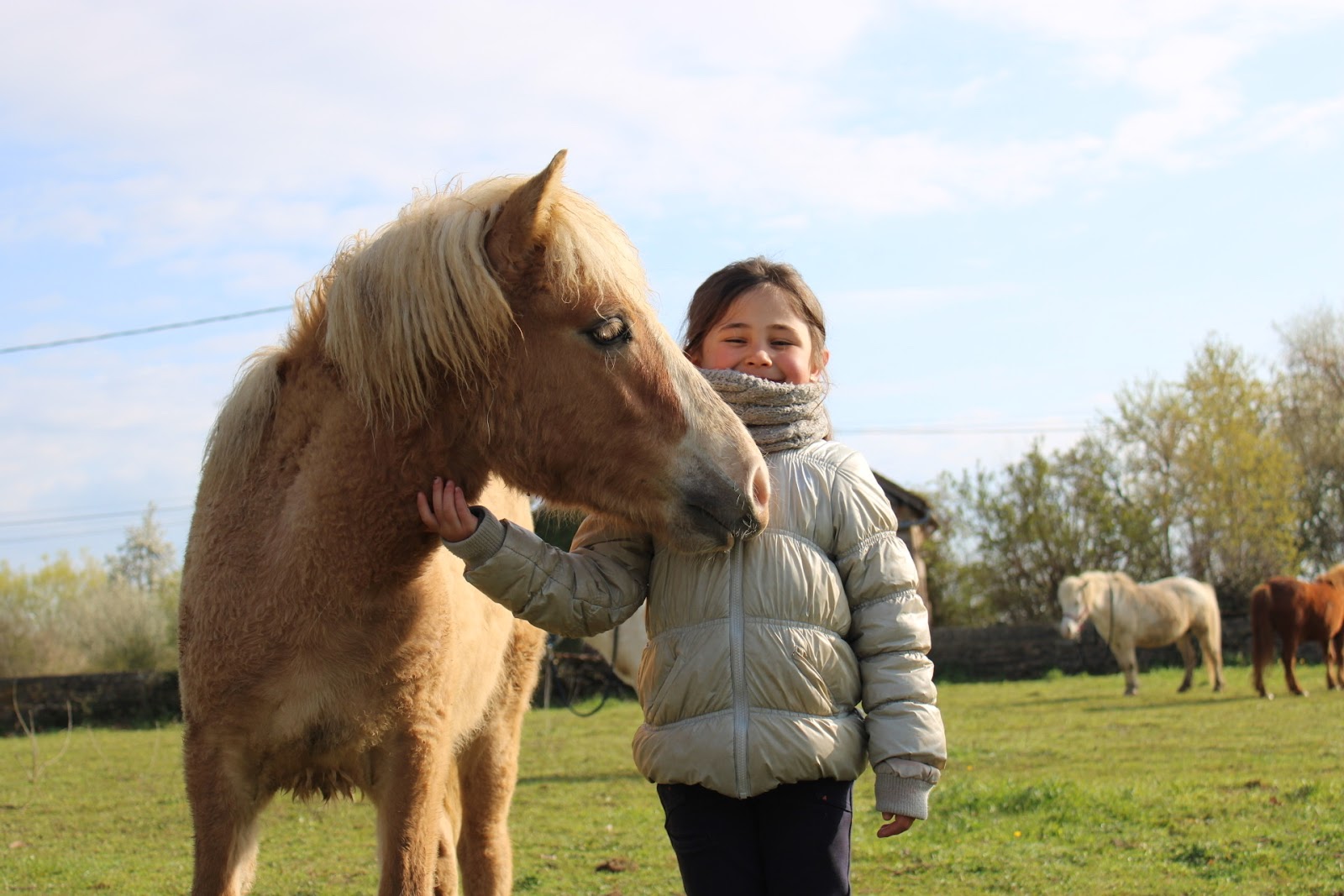 Photo de ECOLE D EQUITATION LA BERGERIE