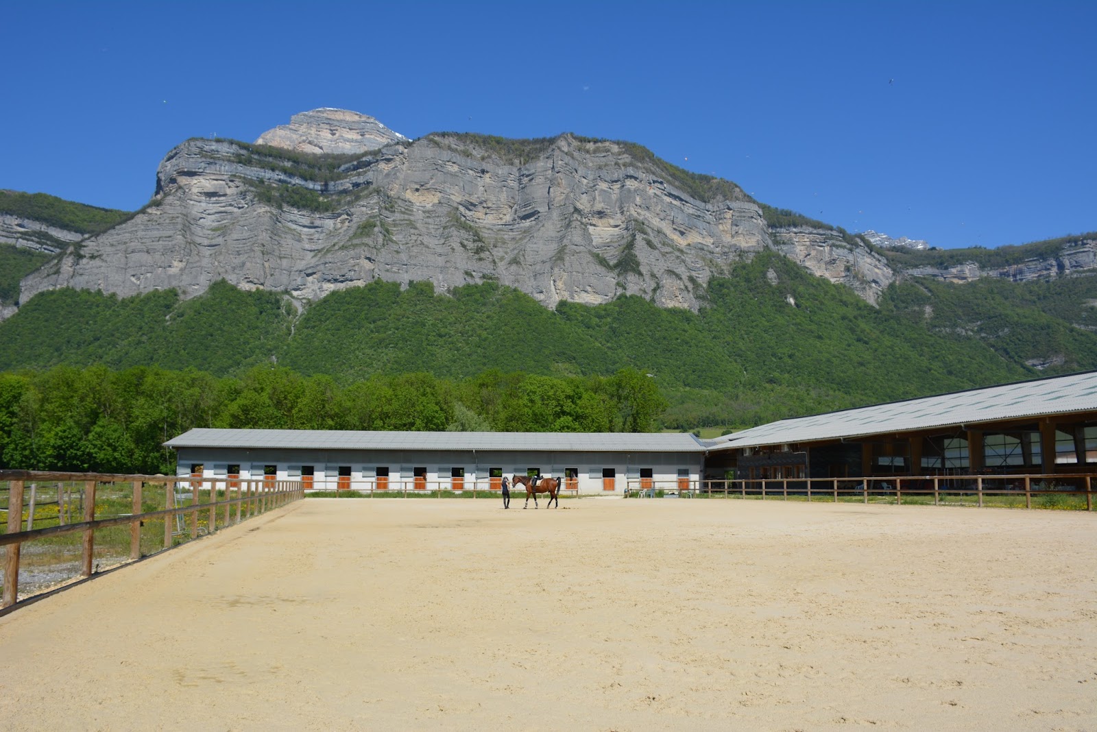 Photo de Ecole de Dressage du Grésivaudan