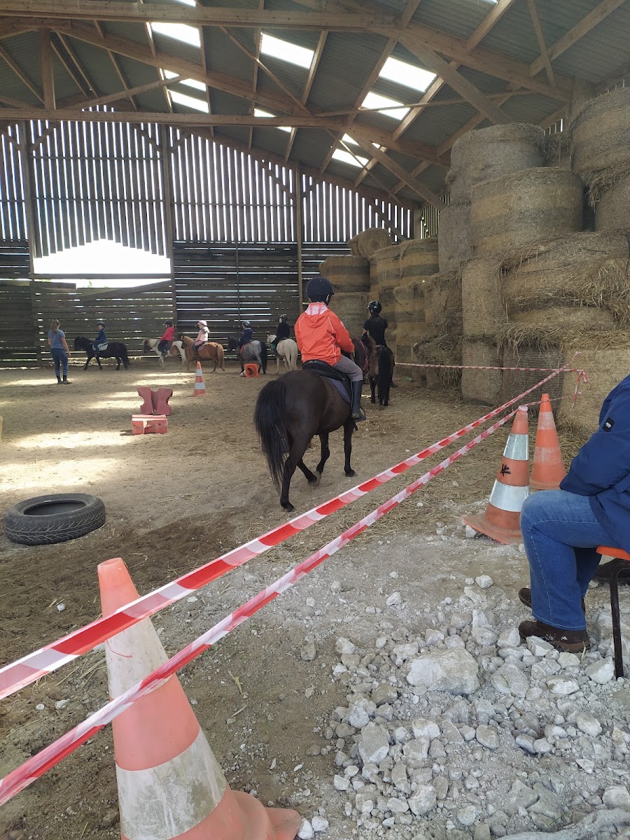 Photo de ECURIE D AMEQUINE