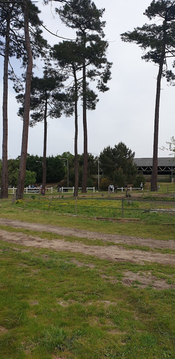 Photo de ECURIE DE BISCARROSSE LAOUADIE