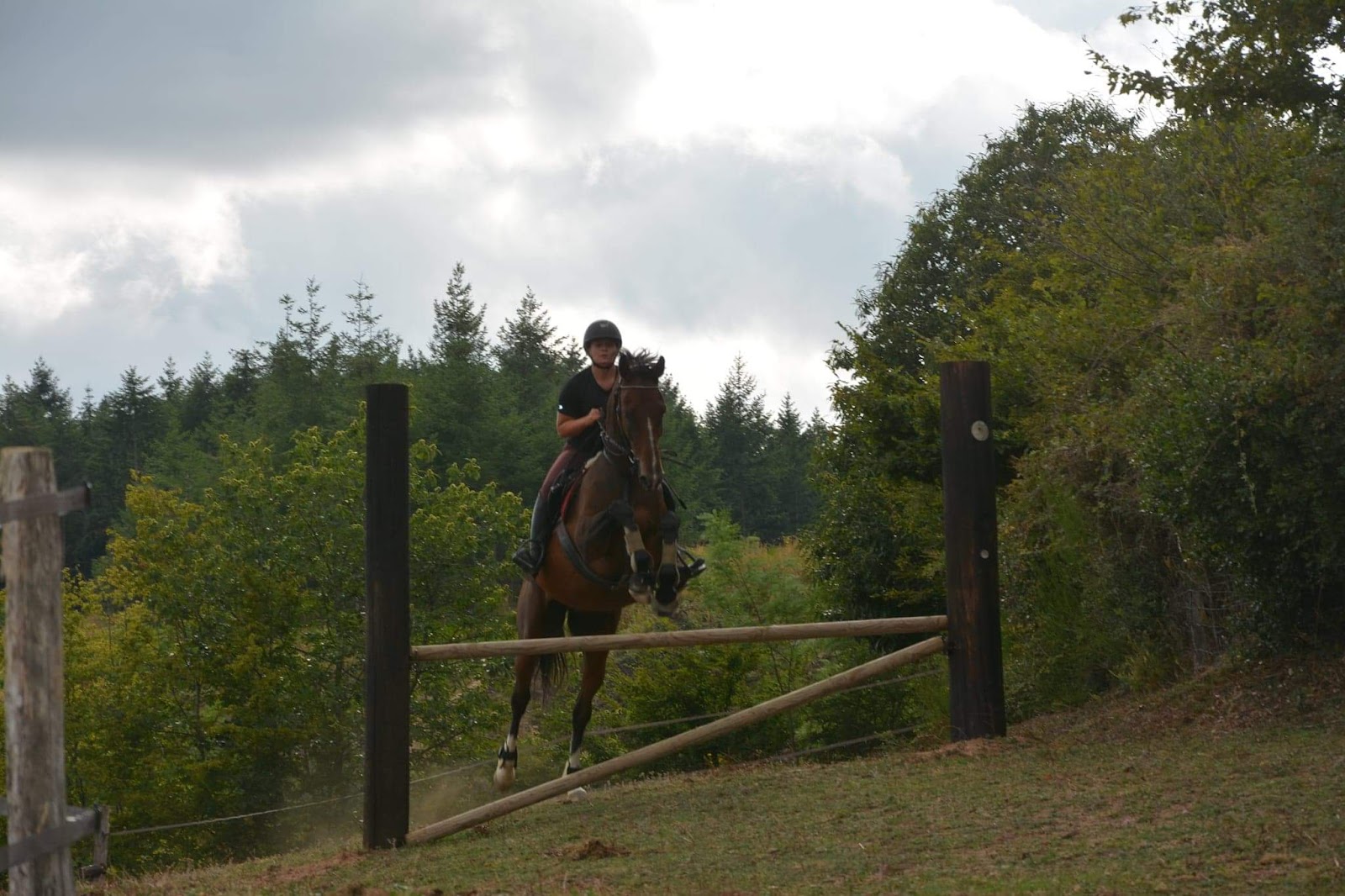 Photo de ECURIE DE BRIXIA
