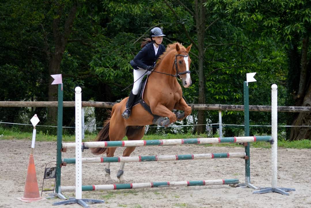Photo de Ecurie de kéreval
