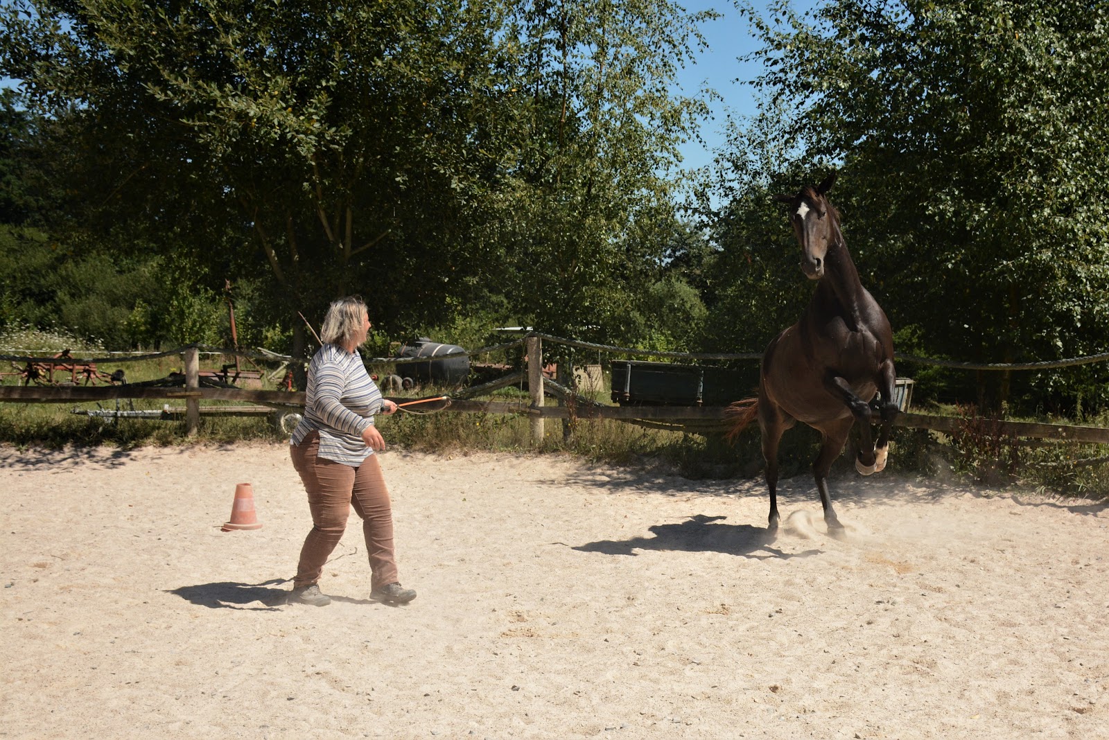 Photo de ECURIE DE L ETRAT