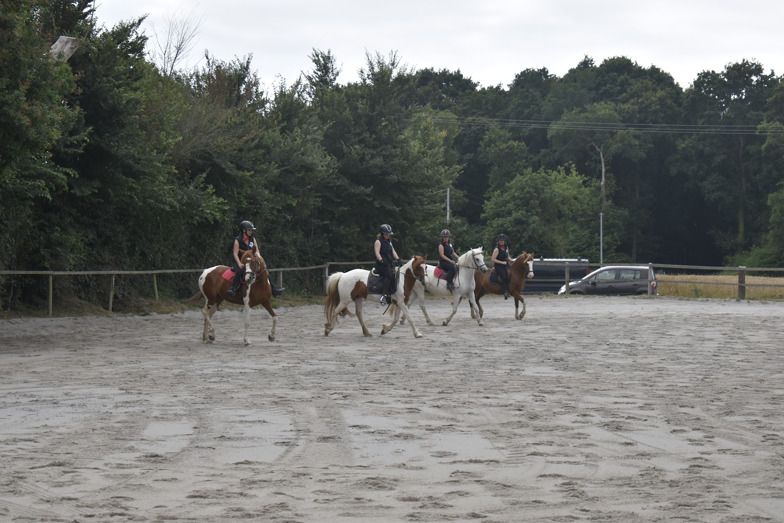Photo de ECURIE DE L HEVOUDEK