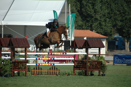 Photo de ECURIE DE LA BERLIERE