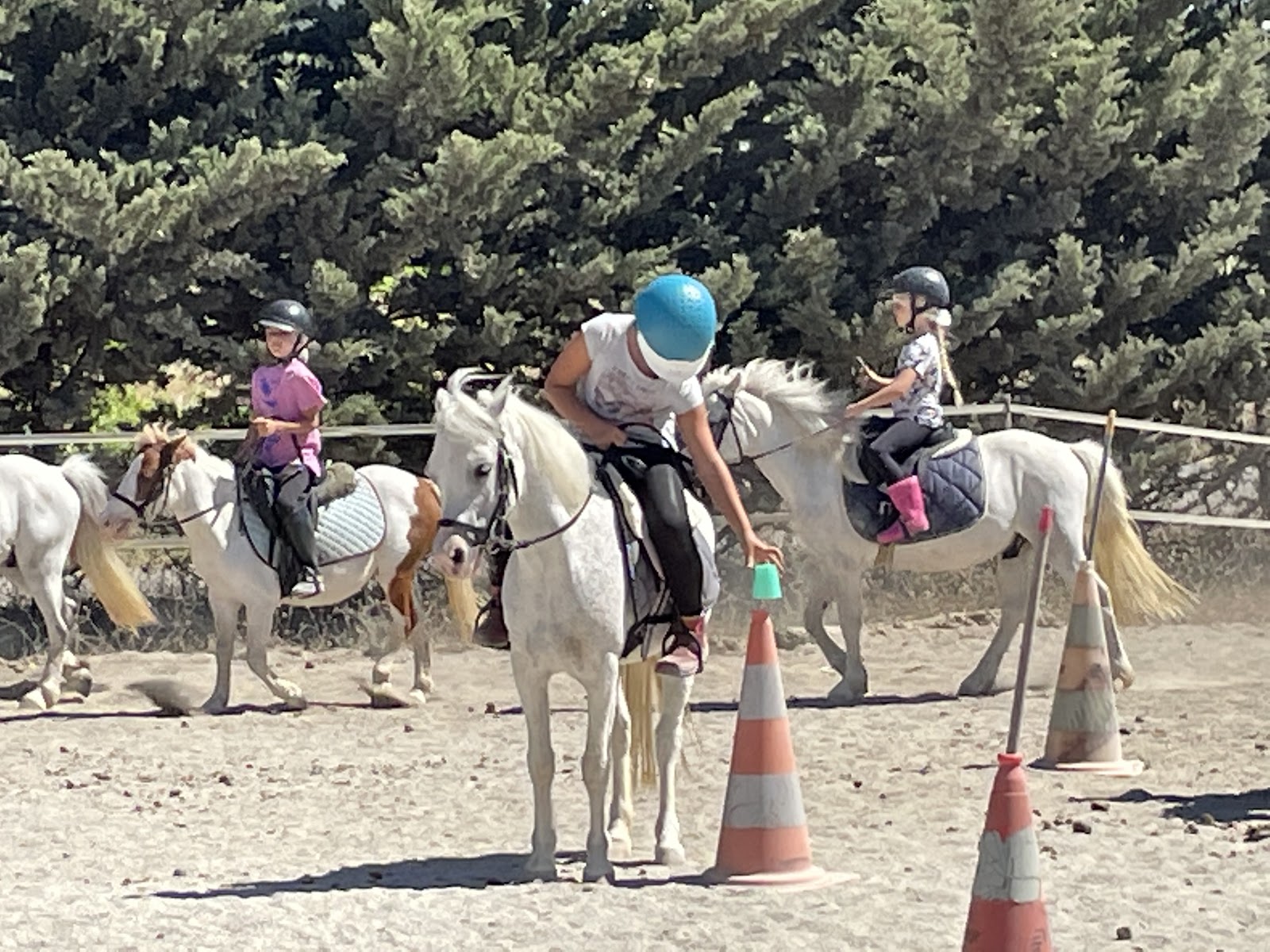 Photo de ECURIE DE LA COTE BLEUE