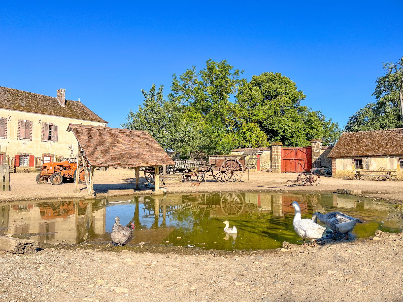 Photo de ECURIE DE LA FERME DU CHATEAU