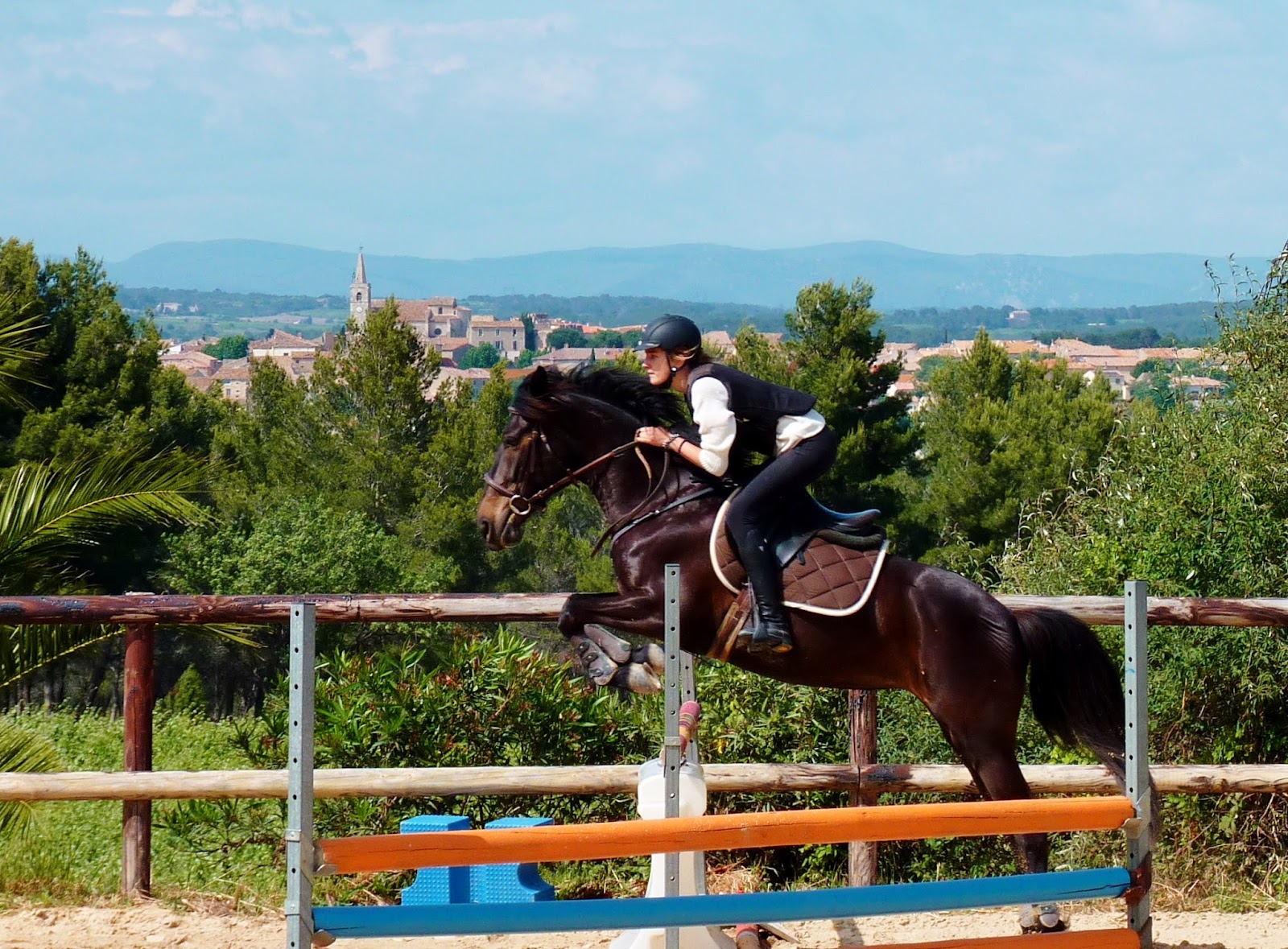 Photo de ECURIE DE LA GRANGETTE