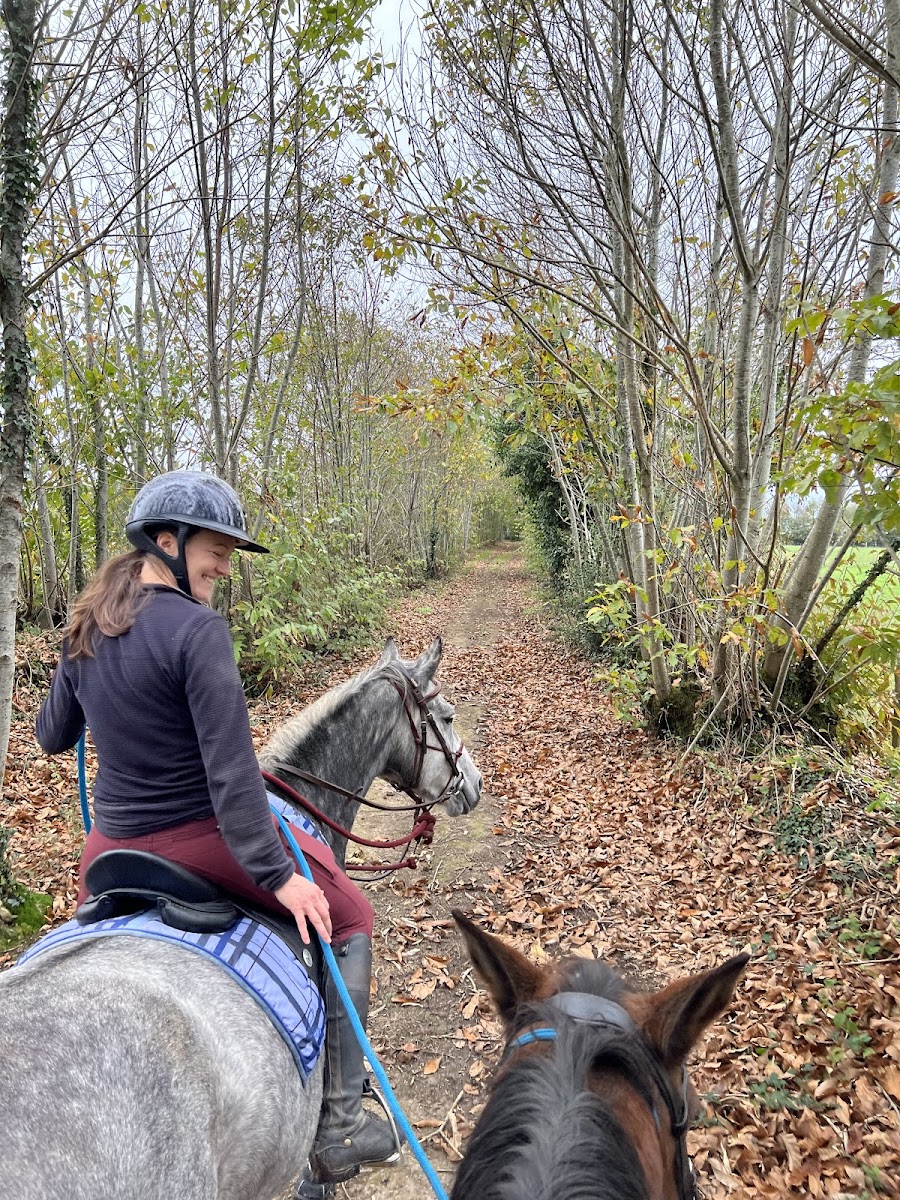 Photo de ECURIE DE MEREL