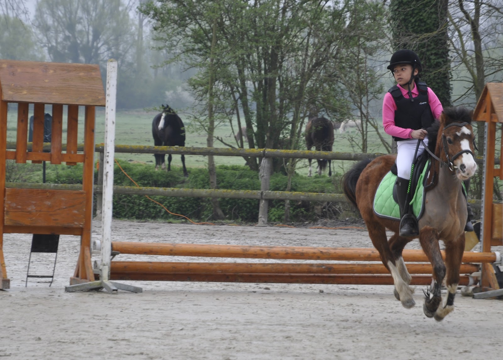 Photo de ECURIE DES 2 SAULES