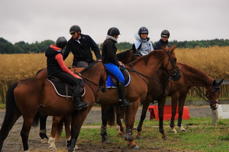 Photo de ECURIE DES PALISSADES
