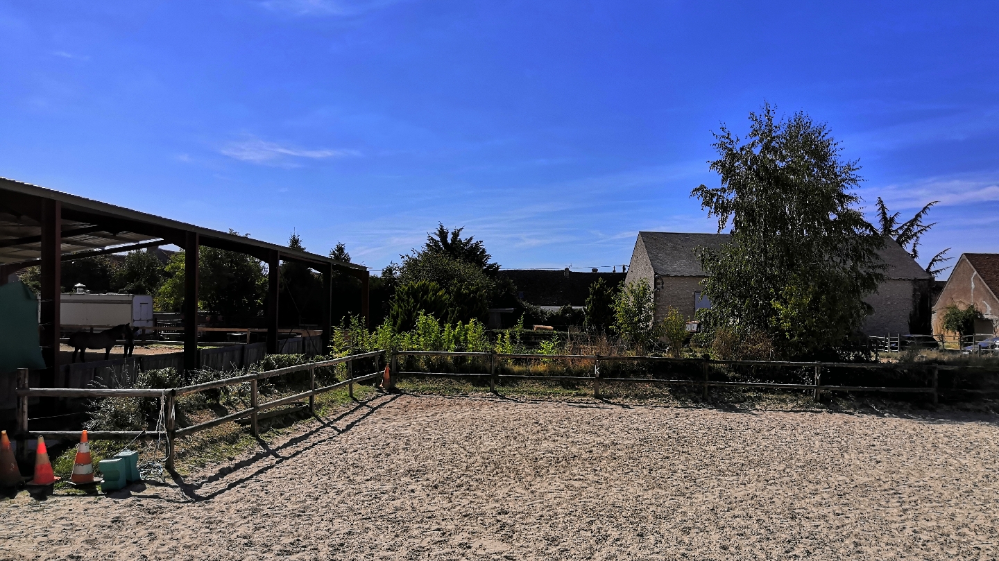 Photo de ECURIE DES REIGNEVILLES