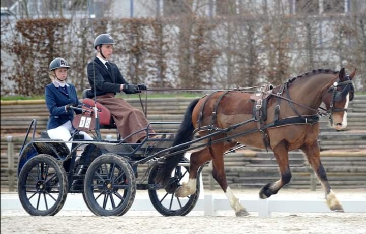 Photo de ECURIE DU BELLOIR