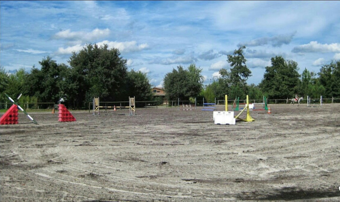 Photo de ECURIE DU DOMAINE DES PINS