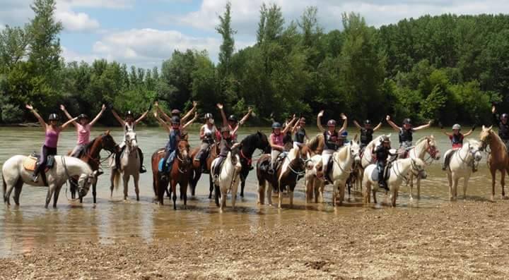 Photo de ECURIE DU GALOP