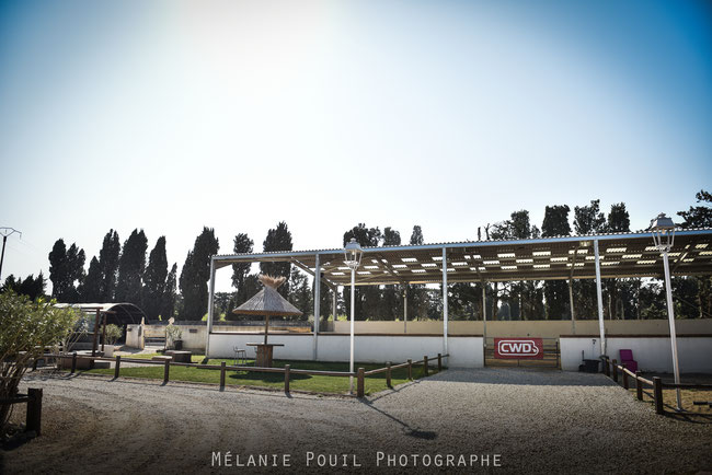 Photo de ECURIE DU MAS DE L OLIVE