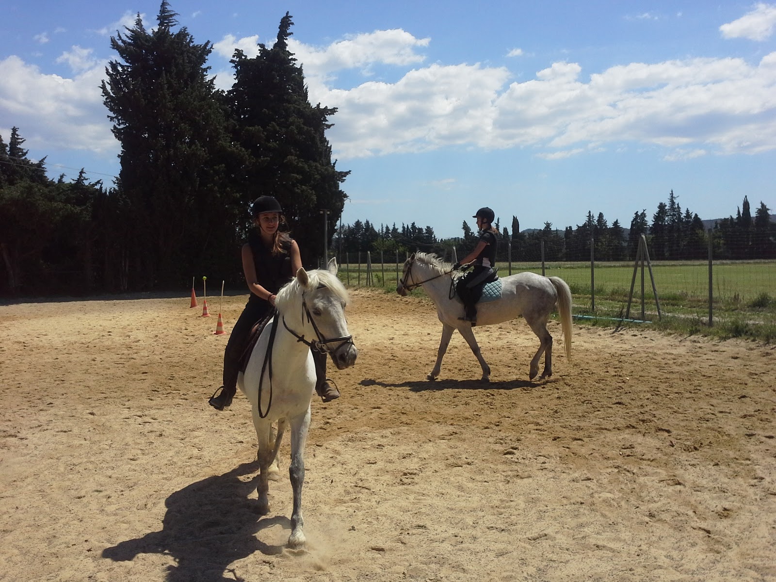 Photo de ECURIE DU REGAIN