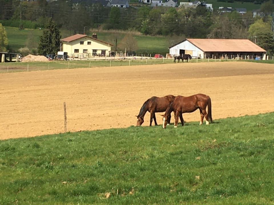 Photo de Écurie du Tremblet