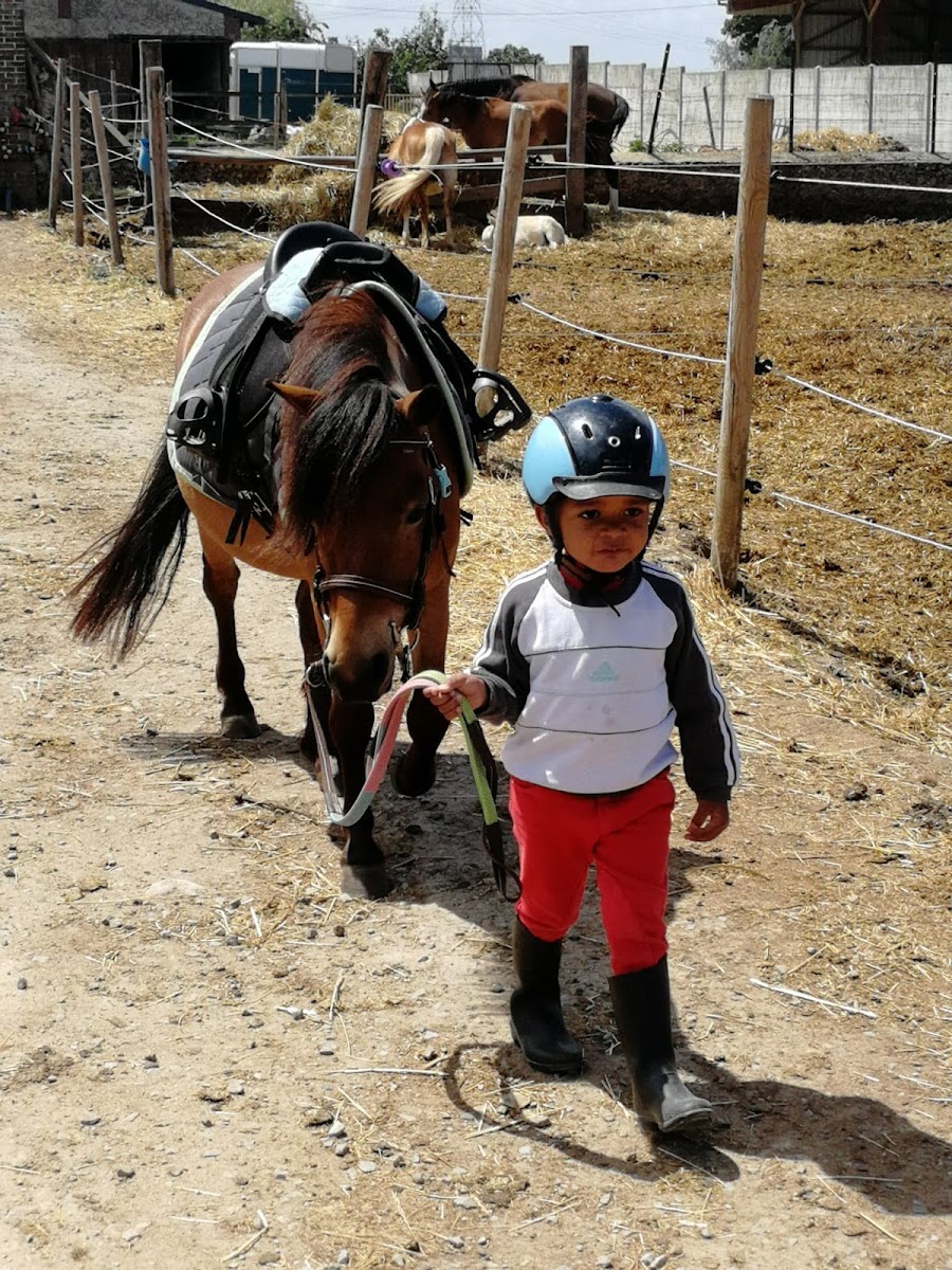 Photo de ECURIE ENJOY PARADISE