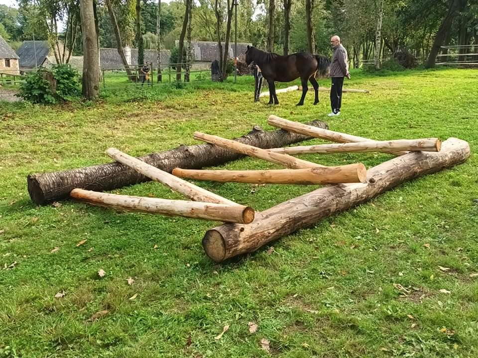 Photo de ECURIE EQUI ECOUTE