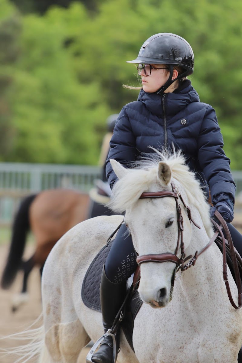 Photo de Écurie Fruchet - Nantes Équitation
