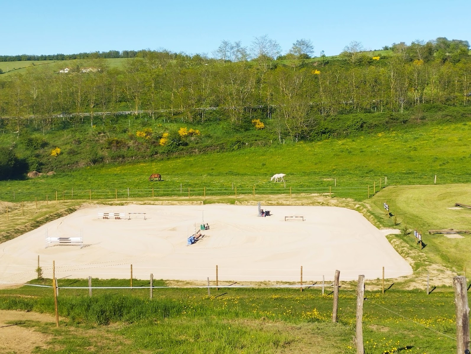 Photo de ECURIE GUILLAUME CTRE MEDIATION EQUINE