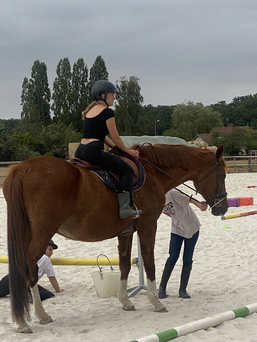 Photo de ECURIE JULIE DAUCOURT