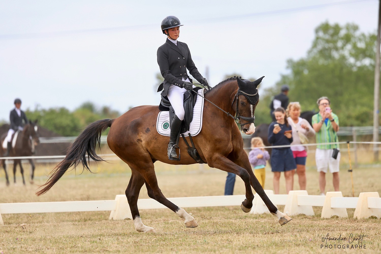Photo de ECURIE LARRETCHEBERRIA