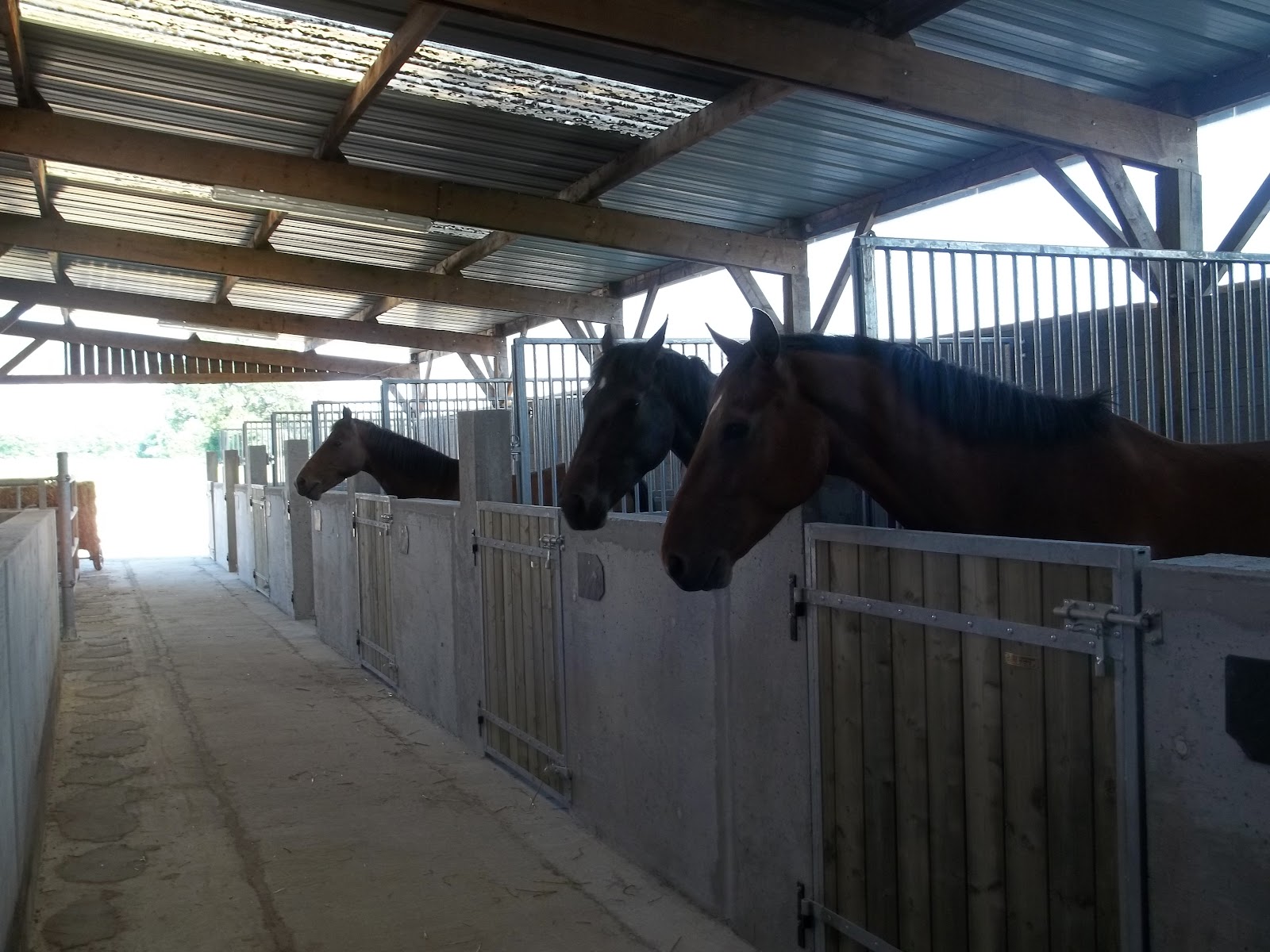 Photo de ECURIE LE BOIS GERARD