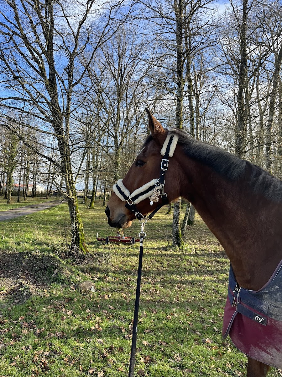 Photo de Écurie Les Poupinières