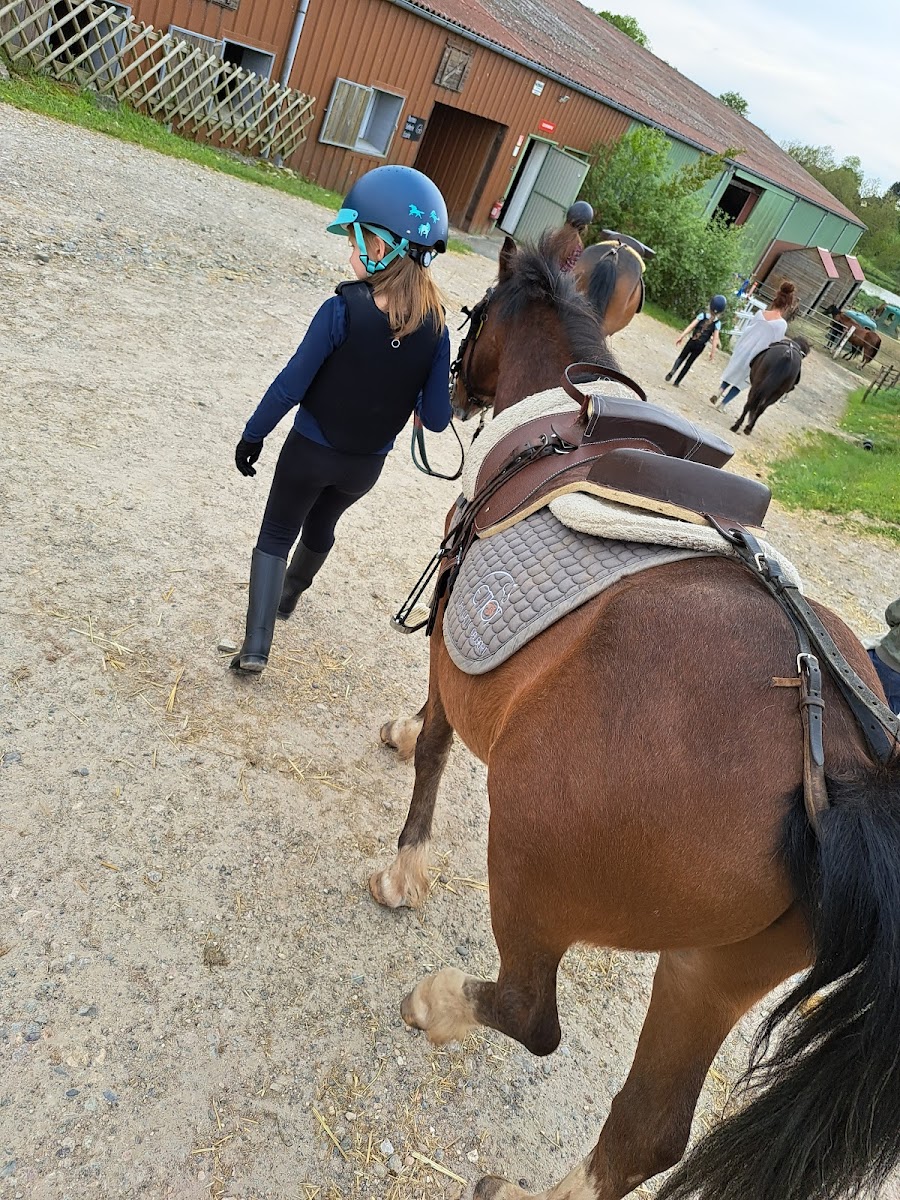 Photo de ECURIE MELODIE PETIOT