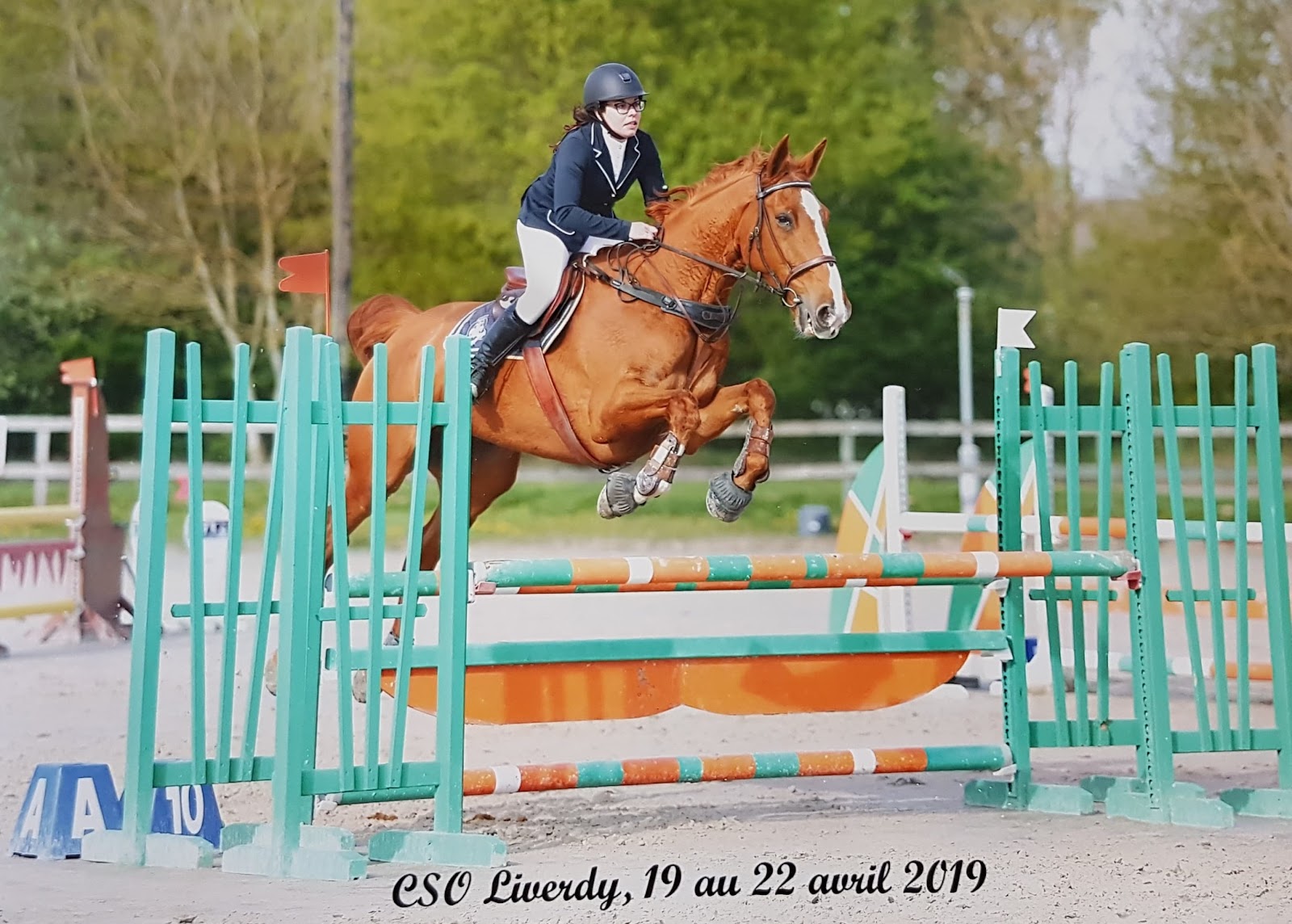 Photo de ECURIE SOPHIE MARCHAND